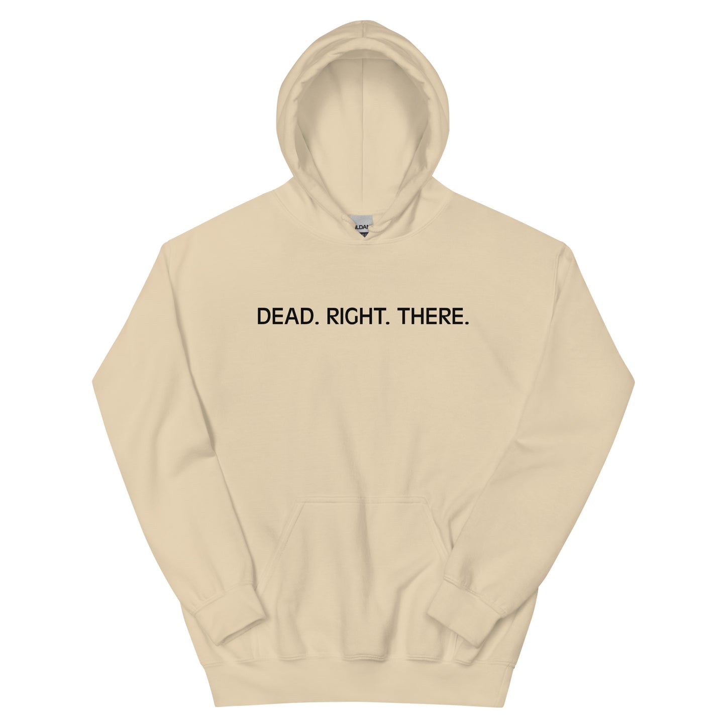 DRT Dog Hoodie
