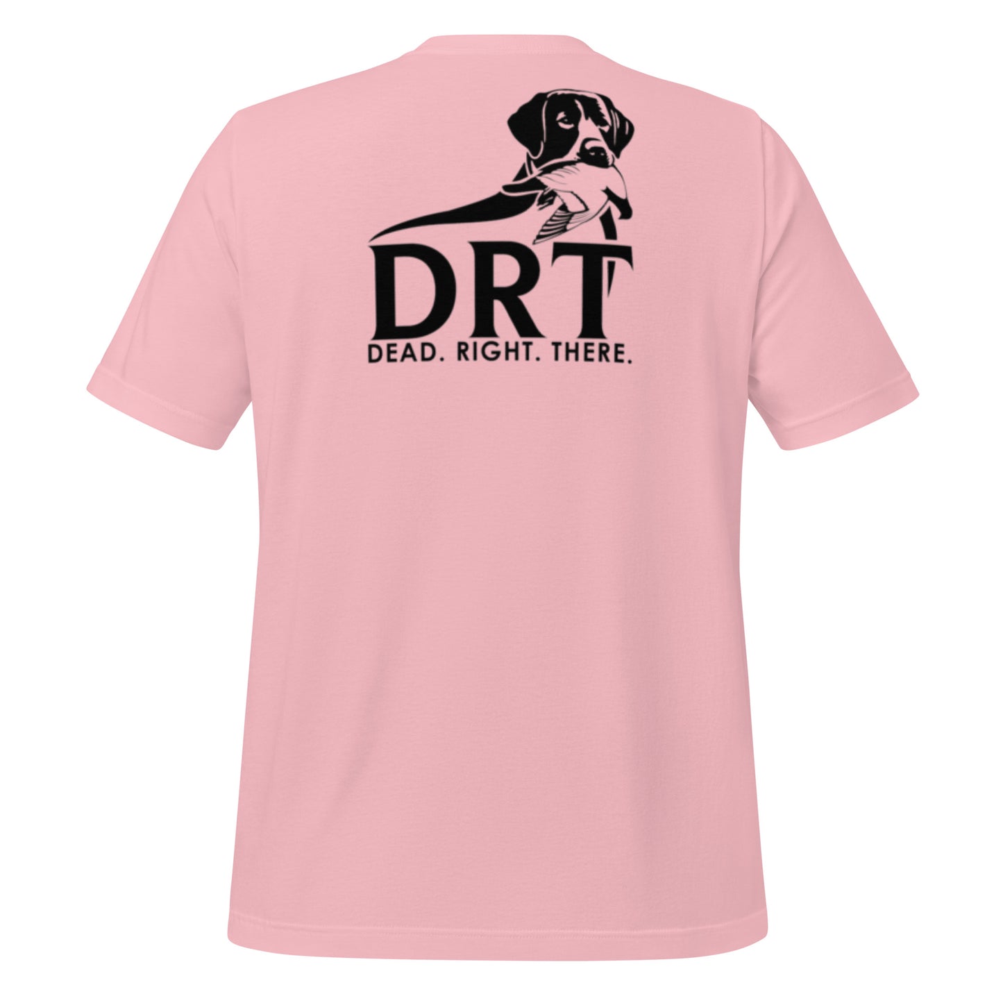 DRT Dog